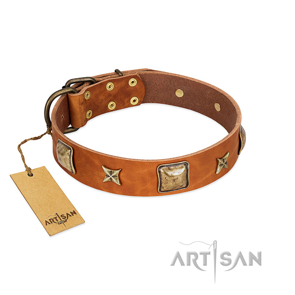 Incredible full grain natural leather collar for your dog