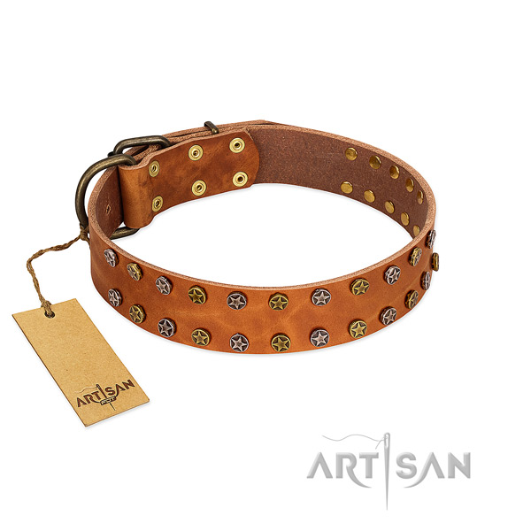 Daily walking quality natural leather dog collar with adornments