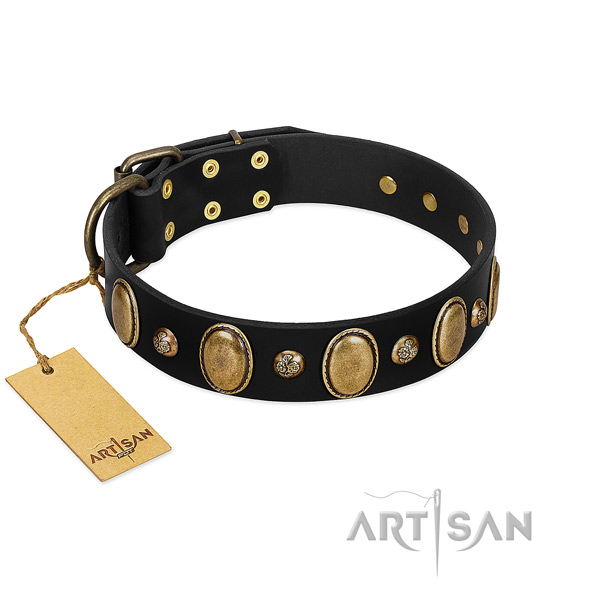 Full grain natural leather dog collar of high quality material with fashionable adornments