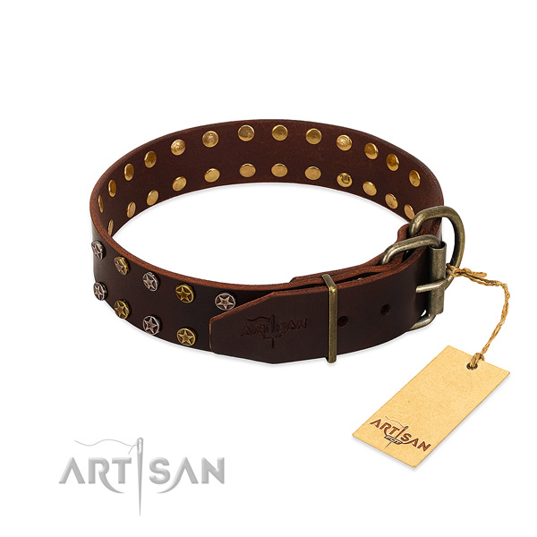 Walking full grain leather dog collar with exceptional decorations