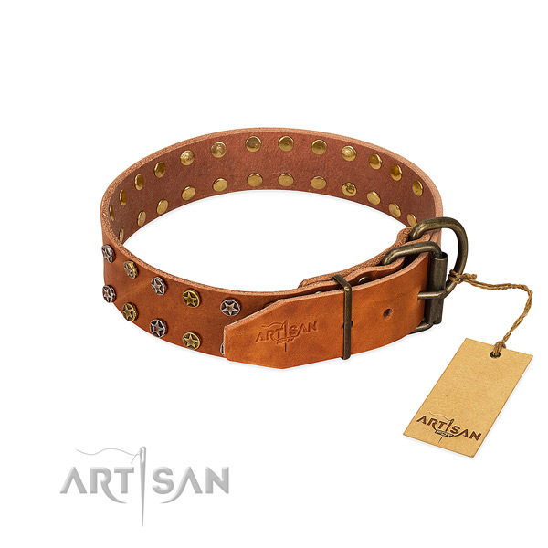 Comfy wearing genuine leather dog collar with amazing studs