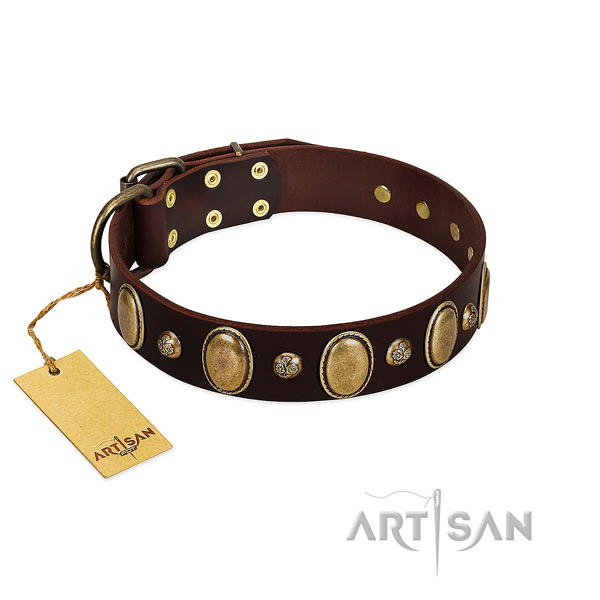 Full grain natural leather dog collar of gentle to touch material with remarkable decorations