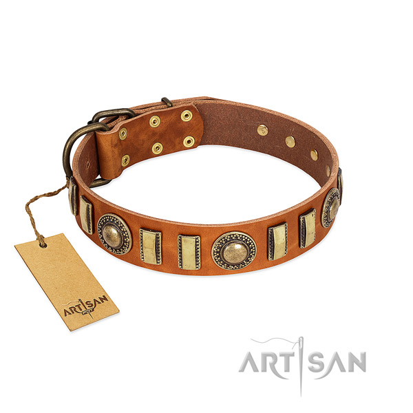 Unusual leather dog collar with strong buckle