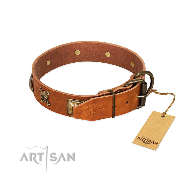 Stylish design full grain natural leather dog collar with rust resistant embellishments