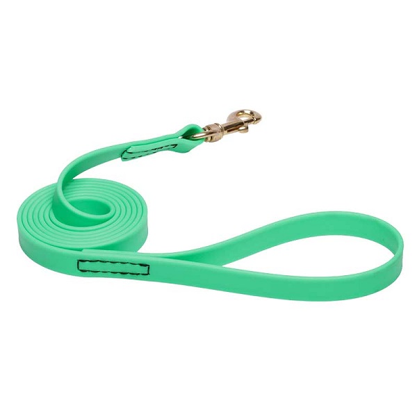 Biothane Dog Leash for Walking