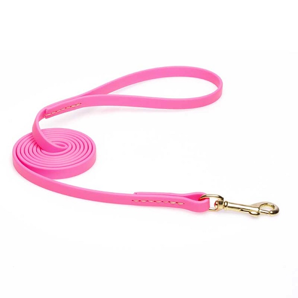 Biothane Dog Leash for Walking