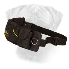 Training Bullmastiff Pouch Nylon with Pockets