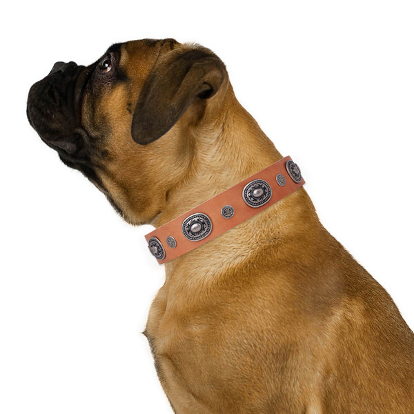 Natural leather dog collar with rust resistant buckle and D-ring for stylish walking