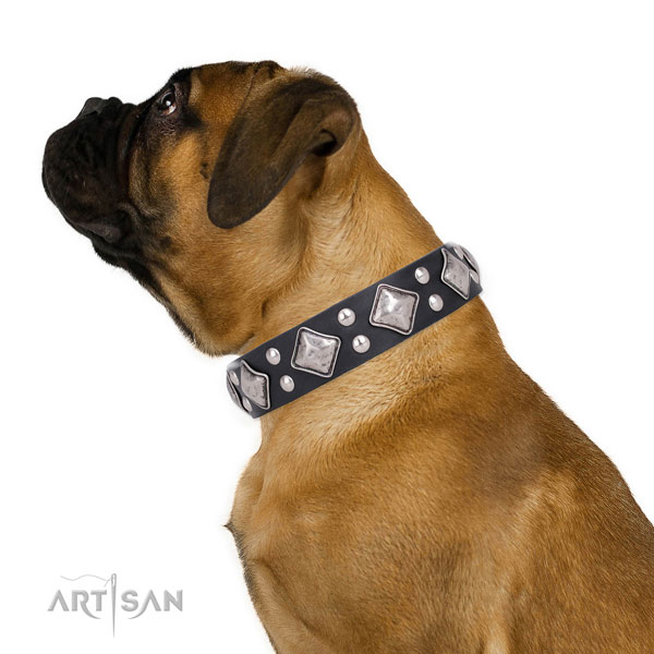 Basic training embellished dog collar made of top notch genuine leather