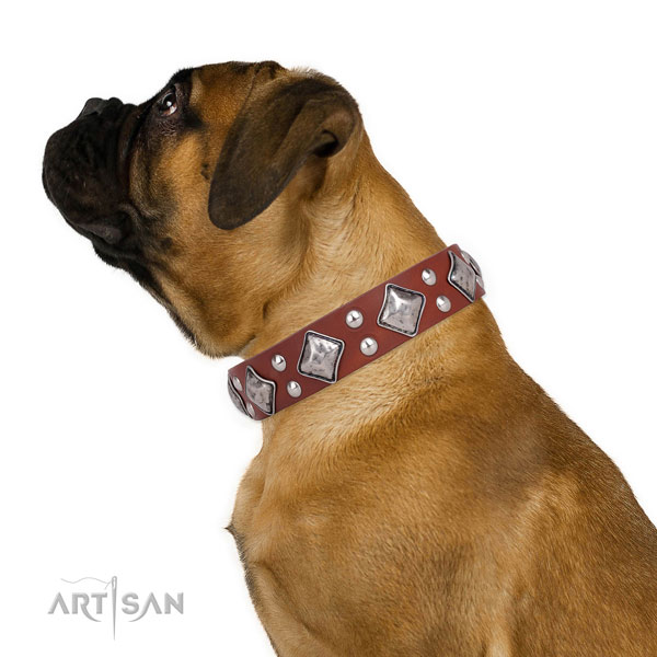 Fancy walking embellished dog collar made of durable natural leather