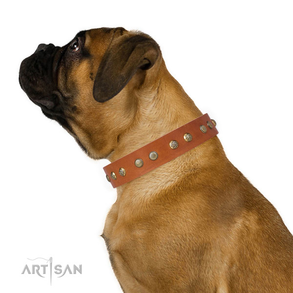 Stylish design embellishments on comfortable wearing leather dog collar