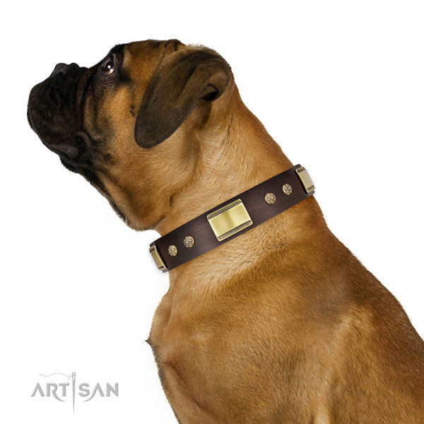 Basic training dog collar of leather with stunning adornments