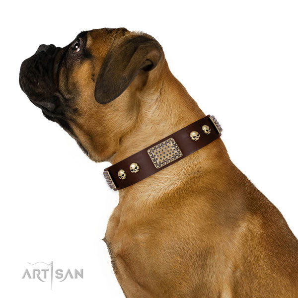 Corrosion resistant hardware on full grain leather dog collar for daily walking