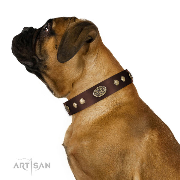 Rust-proof hardware on Genuine leather dog collar for daily use