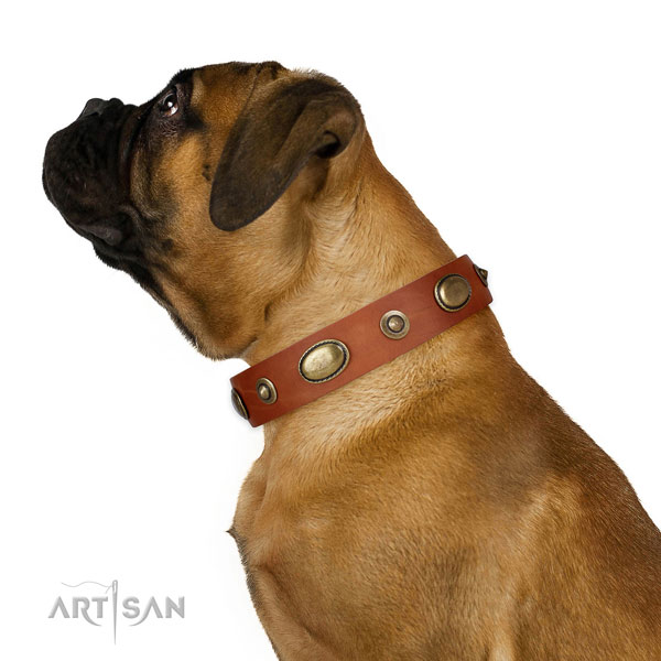 Easy wearing dog collar of leather with top notch embellishments