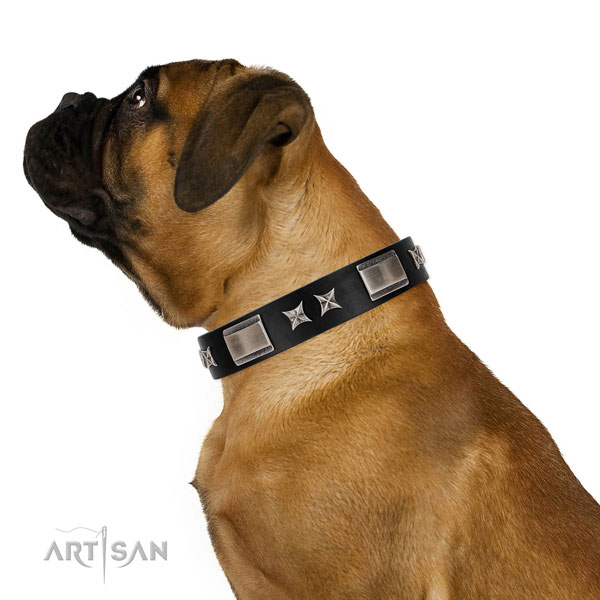 Everyday walking high quality full grain natural leather dog collar with embellishments