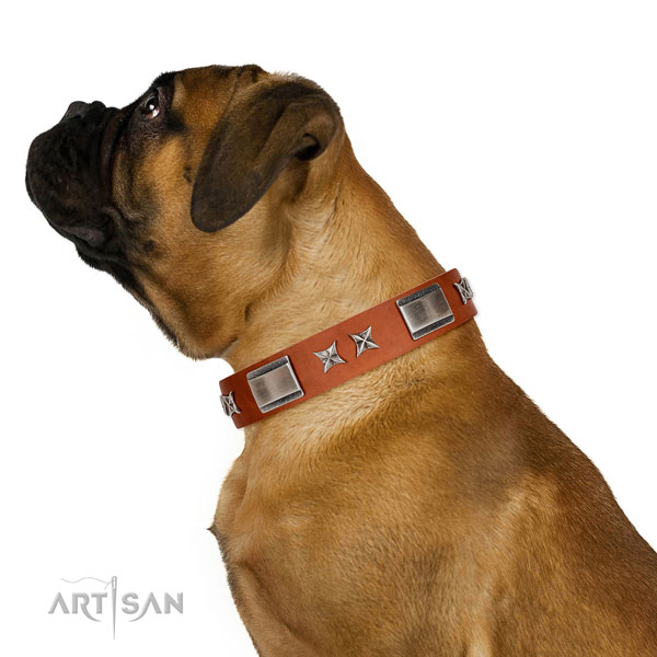 Everyday use soft full grain genuine leather dog collar with decorations