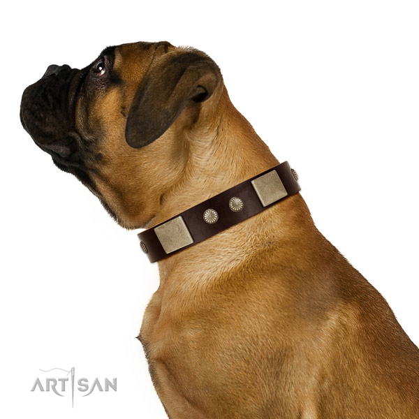 Strong traditional buckle on full grain natural leather dog collar for everyday use