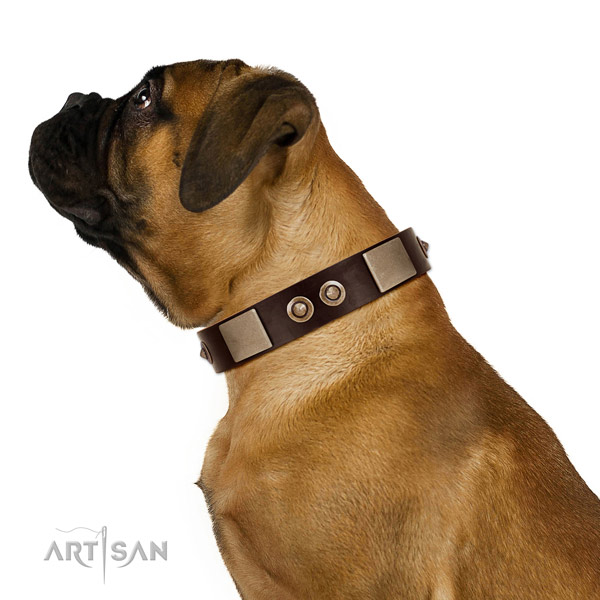 Rust resistant buckle on full grain natural leather dog collar for stylish walking