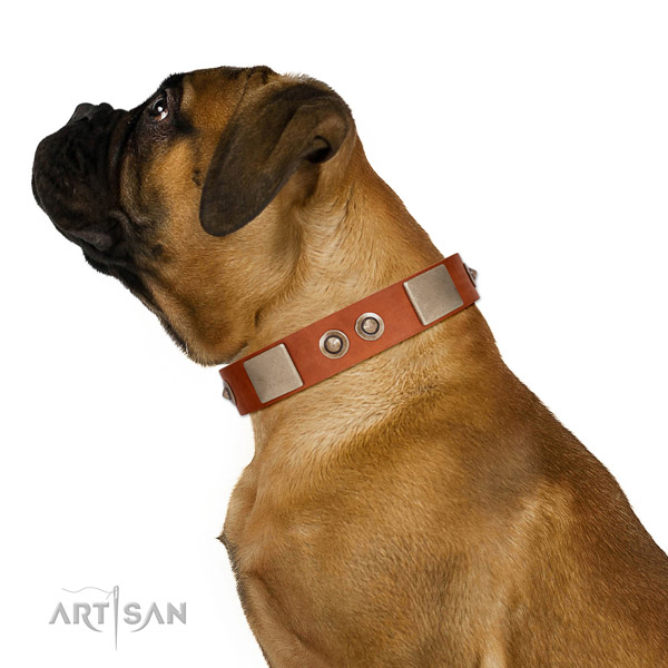 Rust-proof hardware on natural genuine leather dog collar for daily use