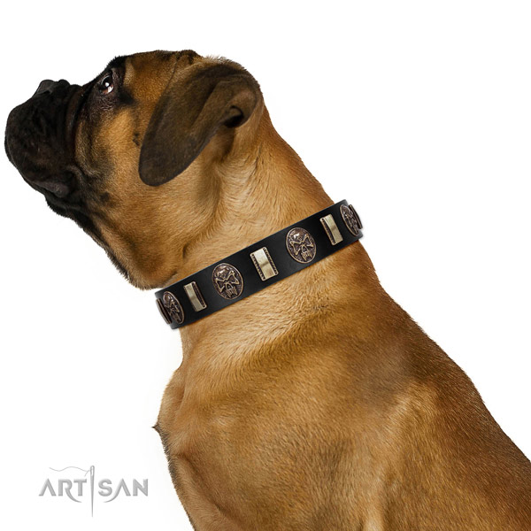 Leather collar with adornments for your beautiful four-legged friend