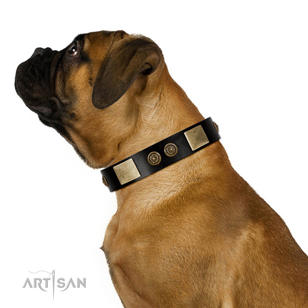 Fancy walking dog collar of natural leather with amazing adornments