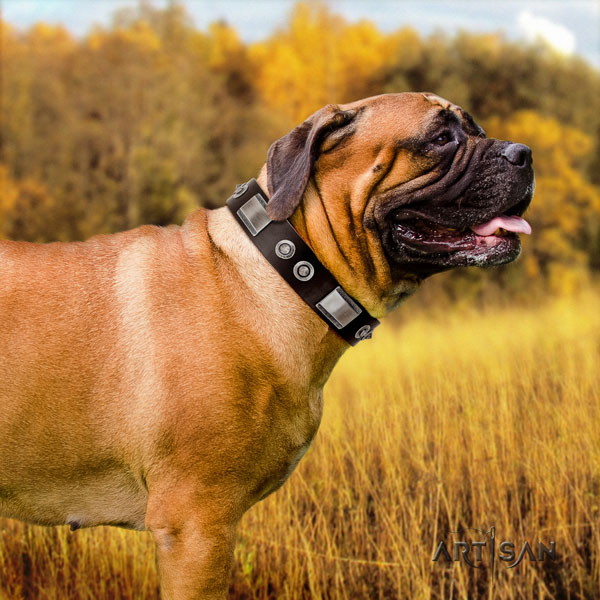Bullmastiff dog collar of designer natural leather for fancy walking