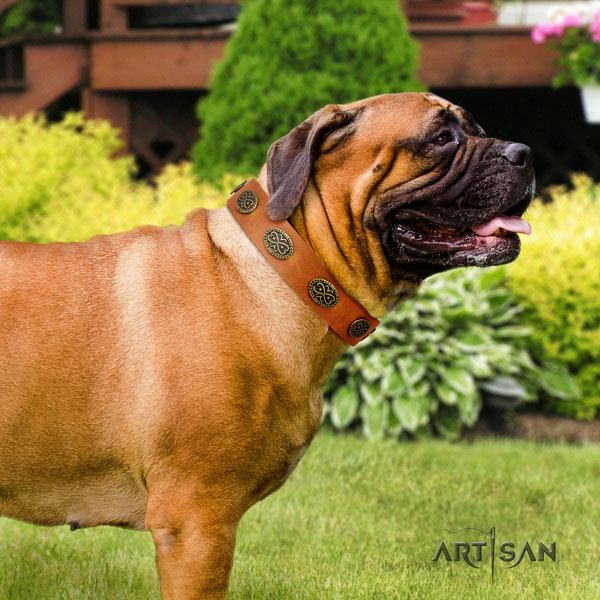 Bullmastiff fancy walking dog collar of top quality natural leather