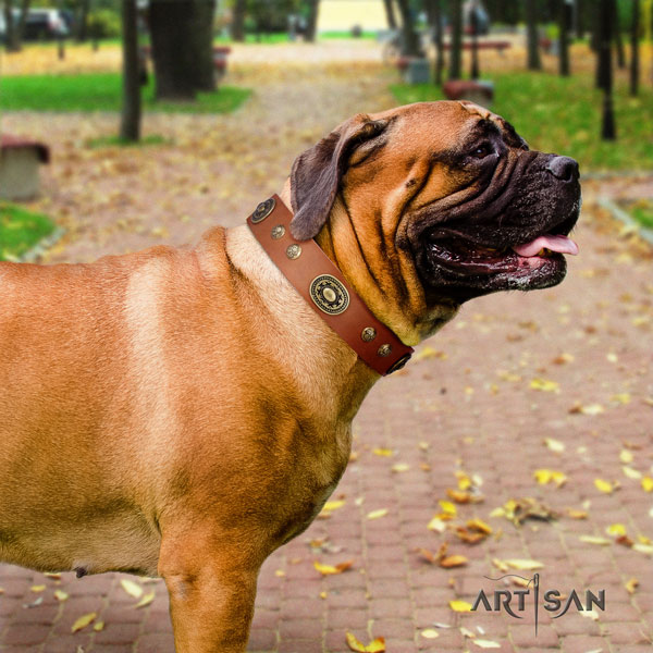 Bullmastiff handy use dog collar of top notch quality genuine leather