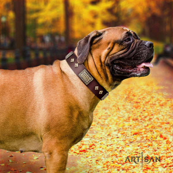 Bullmastiff walking dog collar of top quality genuine leather