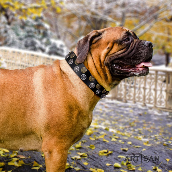 Bullmastiff daily use dog collar of comfortable leather