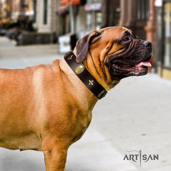 Bullmastiff easy wearing leather collar with adornments for your dog