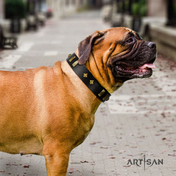 Bullmastiff handy use natural leather collar with decorations for your doggie
