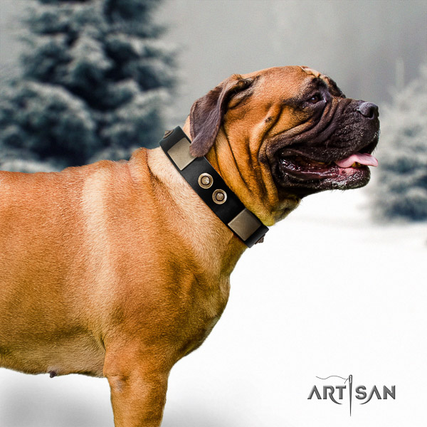Bullmastiff easy wearing full grain leather collar with adornments for your four-legged friend