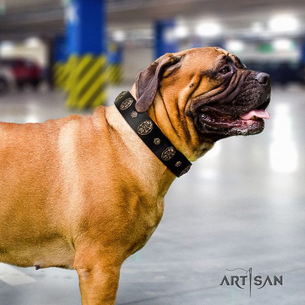 Bullmastiff basic training full grain natural leather collar with adornments for your pet