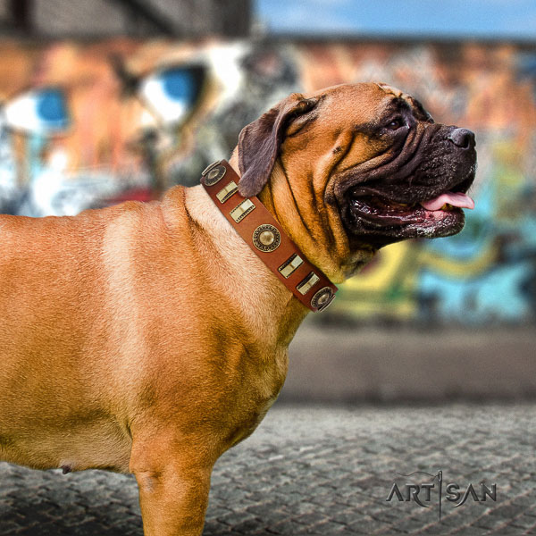 Bullmastiff basic training full grain leather collar with embellishments for your pet