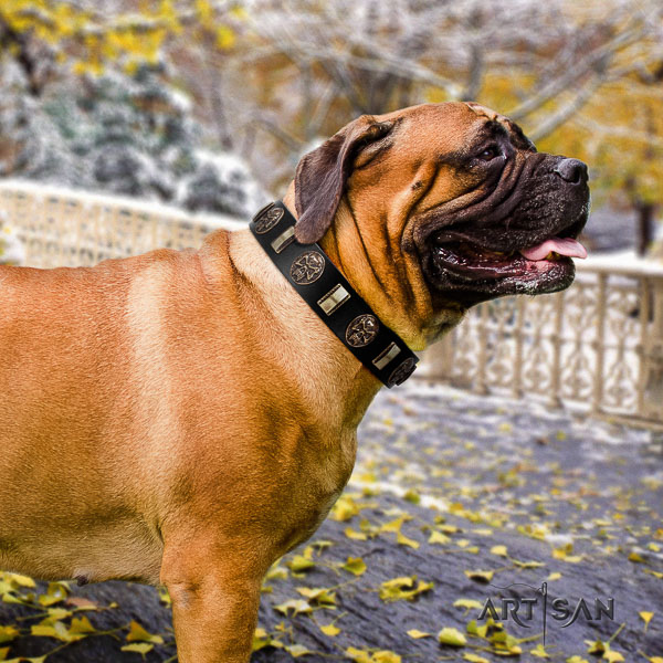 Bullmastiff daily walking full grain natural leather collar with decorations for your doggie