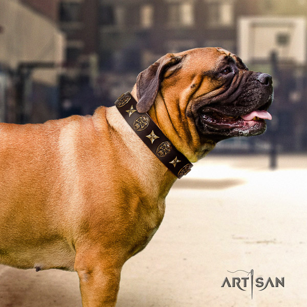 Bullmastiff everyday walking genuine leather collar with decorations for your canine