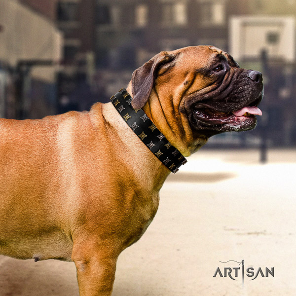 Bullmastiff comfortable wearing leather collar with embellishments for your four-legged friend