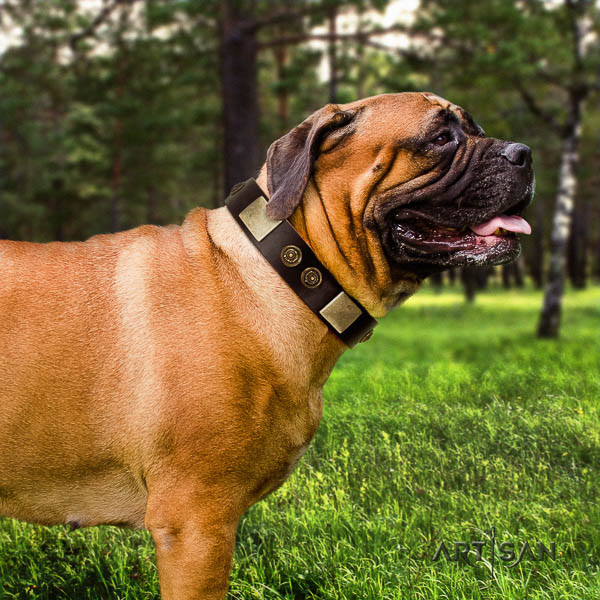 Bullmastiff easy wearing full grain genuine leather collar with adornments for your dog