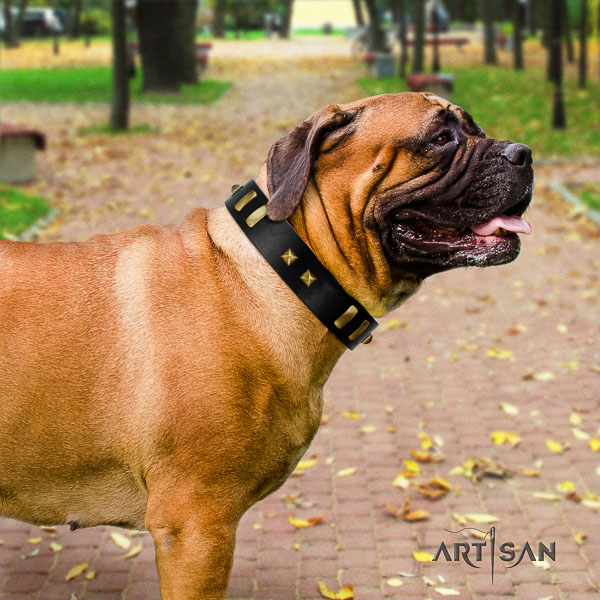 Bullmastiff easy wearing full grain natural leather collar with decorations for your dog