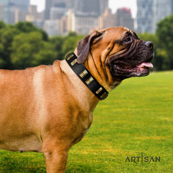 Bullmastiff daily walking full grain leather collar with studs for your doggie