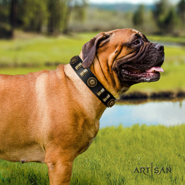 Bullmastiff handy use full grain leather collar with embellishments for your doggie