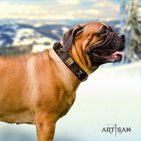 Bullmastiff walking full grain leather collar with adornments for your canine