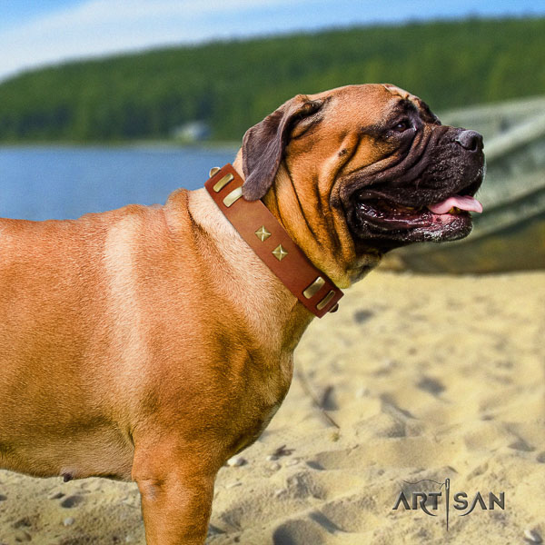 Bullmastiff easy wearing natural leather collar with adornments for your pet