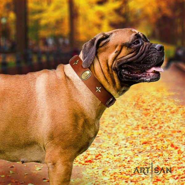 Bullmastiff fancy walking natural leather collar with studs for your pet