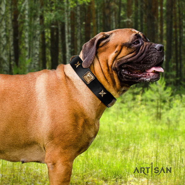 Bullmastiff stylish walking full grain natural leather collar with decorations for your canine