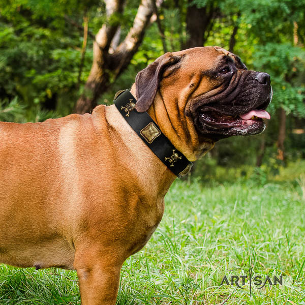 Bullmastiff handy use full grain natural leather collar with decorations for your four-legged friend