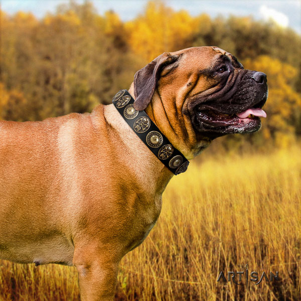 Bullmastiff daily use leather collar with decorations for your canine