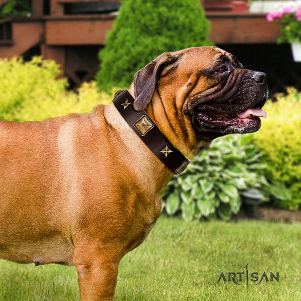 Bullmastiff fancy walking leather collar with adornments for your canine